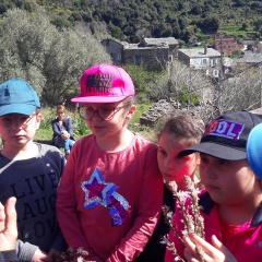 20190409_111944 20190409_111944