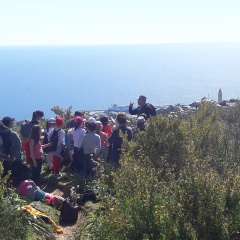 20190409_114639 20190409_114639