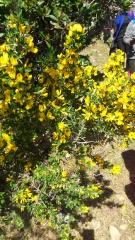 20190409_115450 20190409_115450