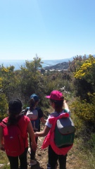 20190409_115637 20190409_115637