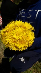 20190409_124408 20190409_124408