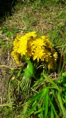 20190409_130603 20190409_130603