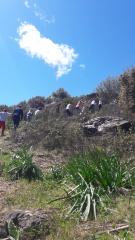 20190409_131759 20190409_131759