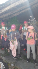 20190409_135734 20190409_135734