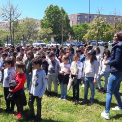 20190516_141150 20190516_141150