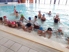 20191126_141811 b 20191126_141811 b