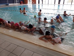 20191126_141821 b 20191126_141821 b