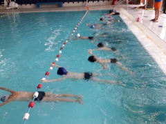 20191126_144100 b 20191126_144100 b