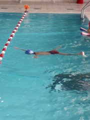 20191126_144231 b 20191126_144231 b