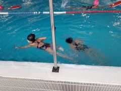 20191126_144351 b 20191126_144351 b