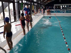 20191126_144828 b 20191126_144828 b