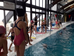 20191126_144932 b 20191126_144932 b