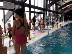 20191126_144934 b 20191126_144934 b