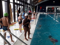 20191126_144944 b 20191126_144944 b