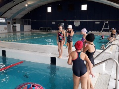 20191126_145014 b 20191126_145014 b