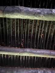 cm1.cm2 castagniccia. 4 cm1.cm2 castagniccia. 4