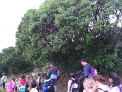 Sott'à l'albitru Sott'à l'albitru