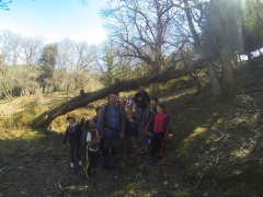 Circhemu a signora di a furesta. L'avete vista? Circhemu a signora di a furesta. L'avete vista?