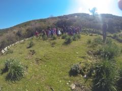 si cerca u tribbiu ind'è l'aghja si cerca u tribbiu ind'è l'aghja