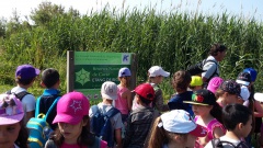 20150602_093408 20150602_093408