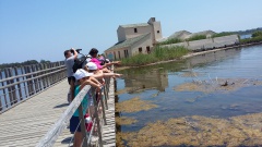 20150602_131219 20150602_131219