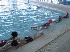 u cuccudrillu (2) u cuccudrillu (2)