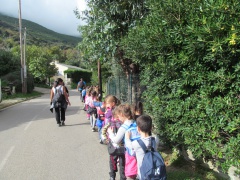 8 Marchjemu tutti infilarati. 8 Marchjemu tutti infilarati.