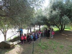 5 Simu pronti per a girandulata. 5 Simu pronti per a girandulata.