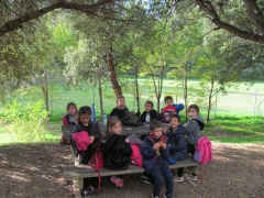 2 Simu ghjunti in Erbalonga. 2 Simu ghjunti in Erbalonga.