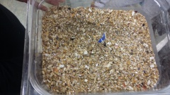 20160211_150108 20160211_150108