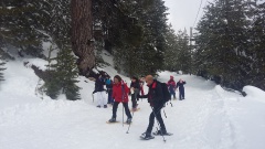 20160310_133858 20160310_133858