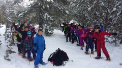 20160310_141223 20160310_141223