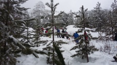 20160310_143635 20160310_143635