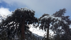 20160310_143734 20160310_143734