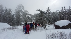 20160310_143740 20160310_143740