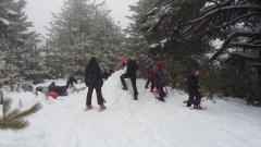 20160311_100321 20160311_100321