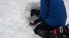 20160311_101341 20160311_101341