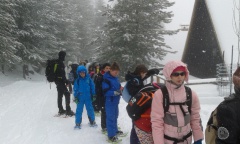 20160311_095549 20160311_095549