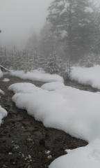 20160311_110242 20160311_110242