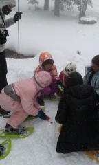 20160311_111131 20160311_111131