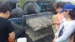 20160512_112145 20160512_112145