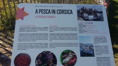 20160512_093619 20160512_093619