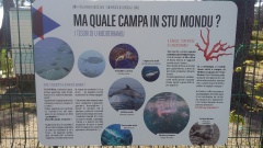 20160512_105046 20160512_105046