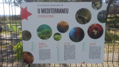 20160512_105054 20160512_105054