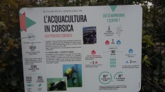 20160512_114709 20160512_114709