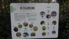 20160512_114715 20160512_114715