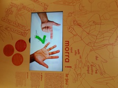 20161108_105447 20161108_105447