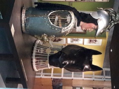 20161108_113403 20161108_113403