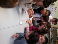 20161206_153425 20161206_153425