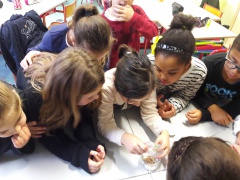 20161206_153451 20161206_153451